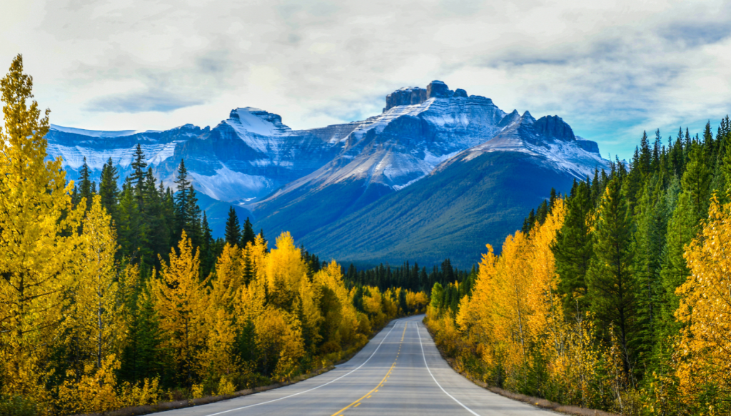 canada 