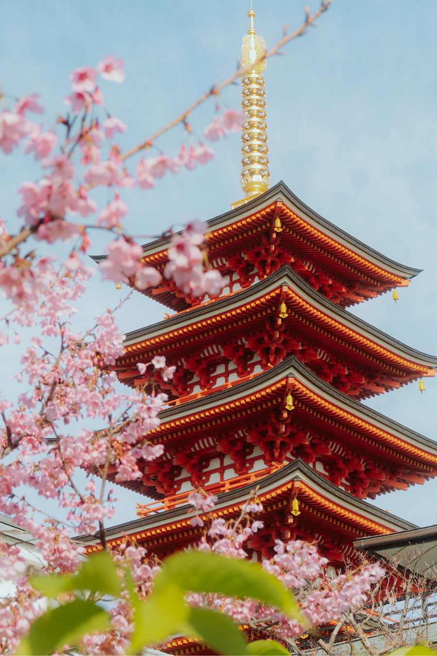 japan
