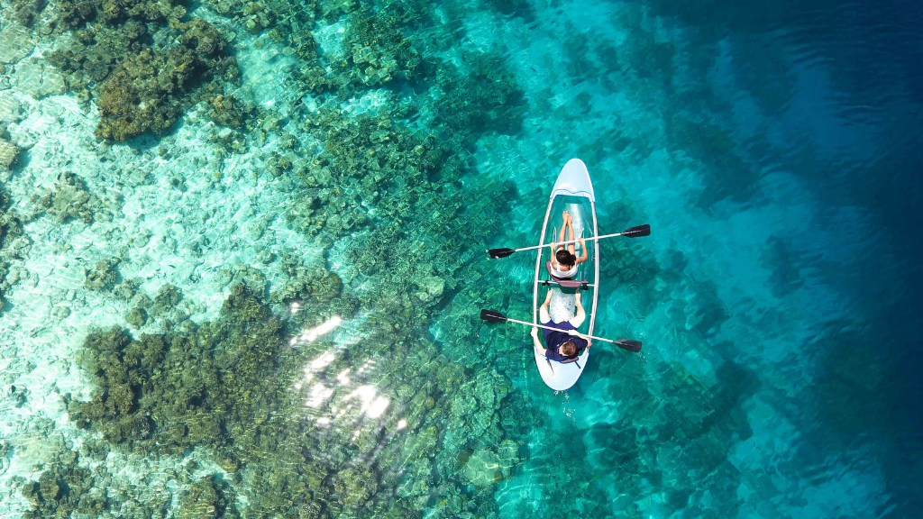 two people kayaking in ocean