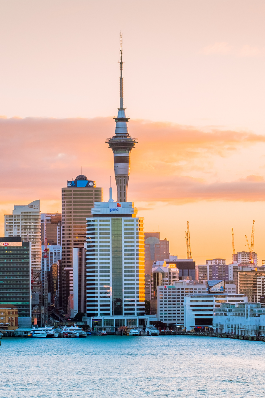 auckland