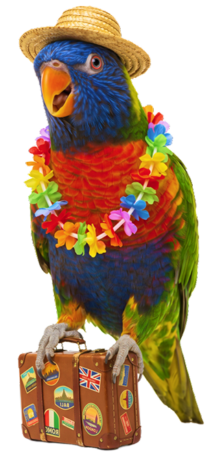 Parakeet mascot standing on a suitcase