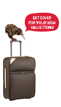 what can you take bag